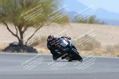 media/May-12-2024-SoCal Trackdays (Sun) [[ad755dc1f9]]/10-Turn 4 Tree of Life (1120am)/